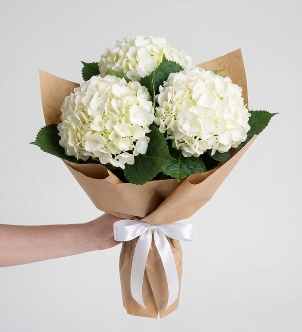 Слика на Бела Хортензија во Хармонија – Елегантен Букет од Хортензии